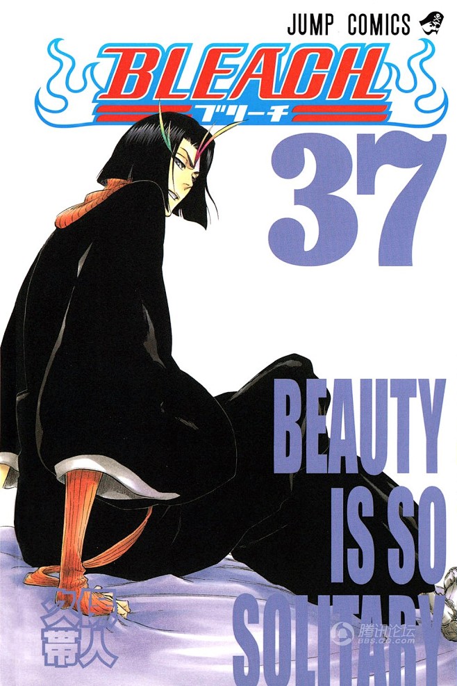 Bleach_cover_37.jpg