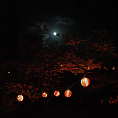 ♥锋雨同露♀采集到灯火阑珊