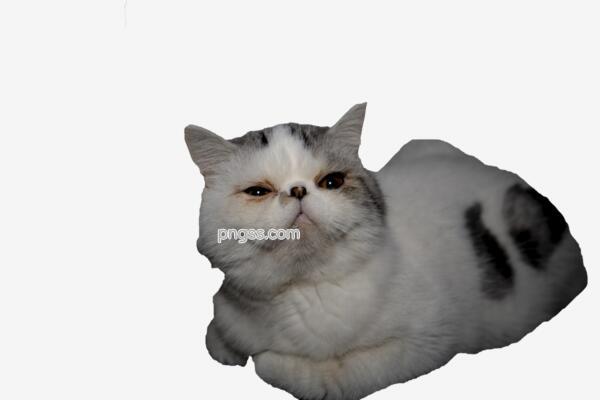 19cfd946e74dd6d88ee451f8f4af42127267f7523c34-NRE8EU