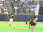 Randy Johnson explodes a dove with a fastball. March 24, 2001.