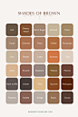 棕色色调 - 棕色命名中性土色调色板
