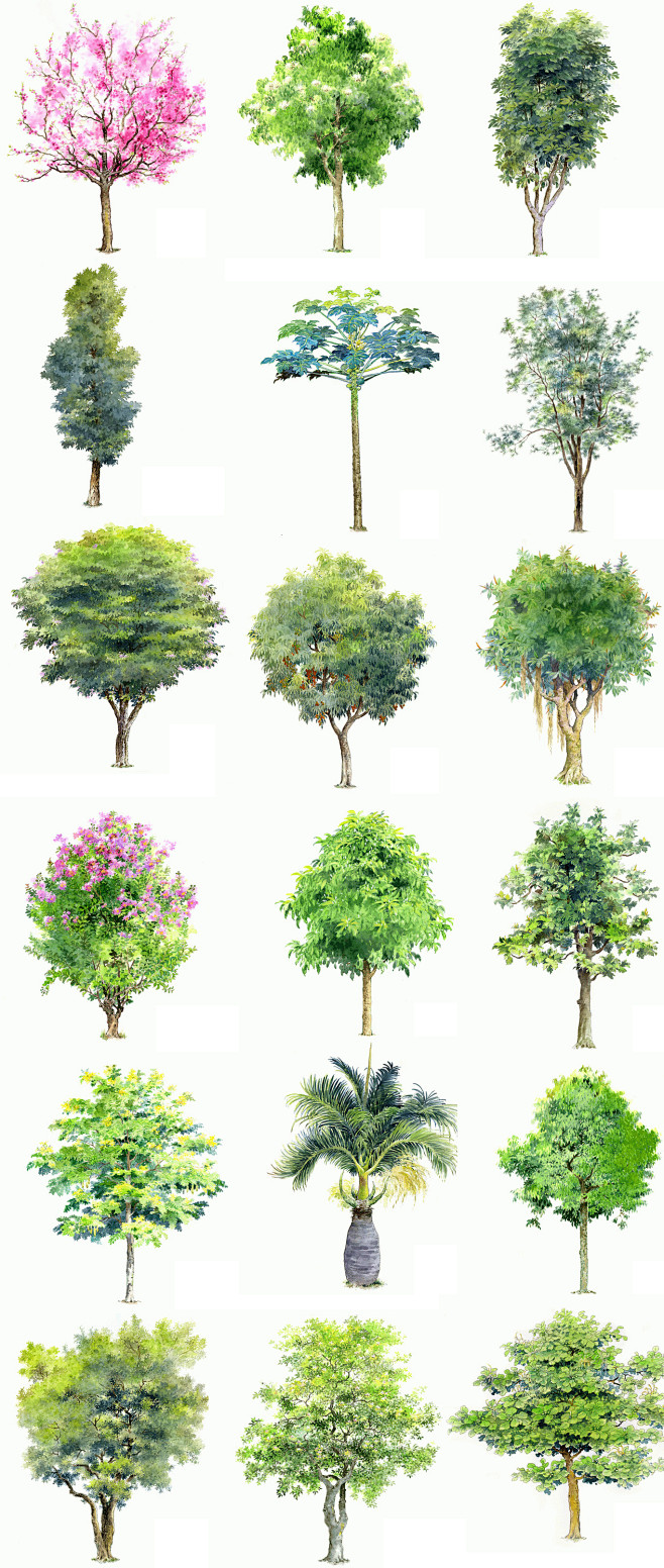 手绘树木 植物