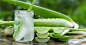 Is Consuming Aloe Vera Safe?