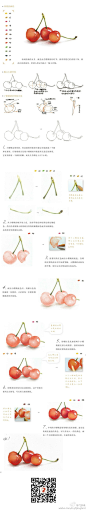 飞乐鸟教程