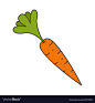 图片：Ripe carrot with leaves flat icon Royalty Free Vector Image : 在 Google 上搜索到的图片（来源：vectorstock.com）