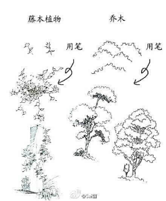 J金香X采集到插画