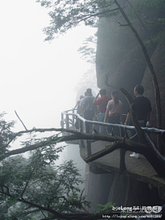 liuly采集到云游三清山-3:旅游, 梦幻