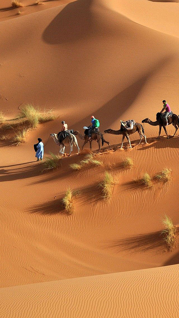埃及 撒哈拉大沙漠，埃及