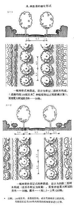 mG53RZXL采集到道路绿化