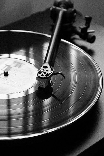 Musical Vinyl by Mag...