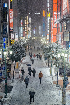 里雾采集到日本