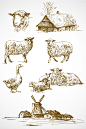 手绘绵羊牧场矢量图标元素