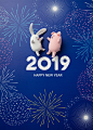 超酷2019星空烟花新年快乐猪猪侠和兔子高清素材