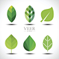 Set of green leaves design elements