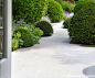 The view from the kitchen of this Finchley garden on the sawn sandstone invites one to contemplate the elegant planting. A mix of strict clipped yew balls is softened by herbaceous perennials and a magnificent birch tree.