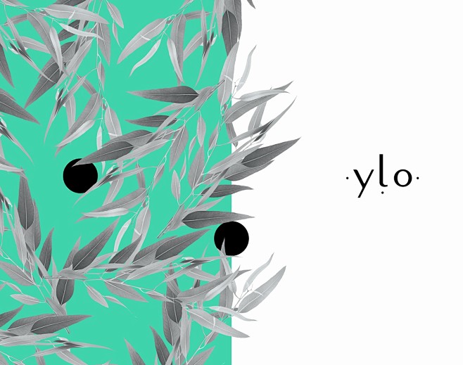 Ylo - Brand identity...