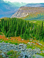 ✯ View From Highline Trail - Glacier National Park