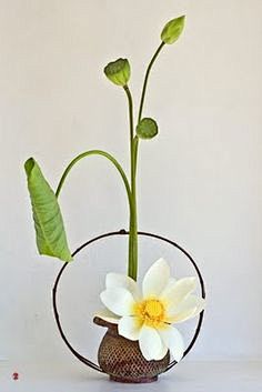 ikebana