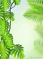 绿色热带植物 #采集大赛#