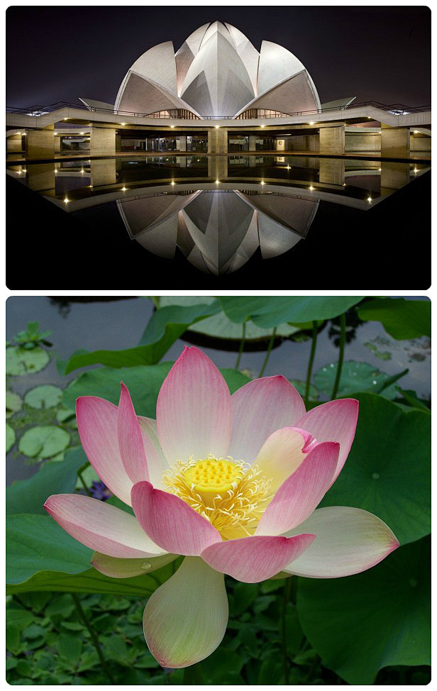 3、印度莲花寺（LOTUS TEMPLE...