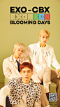 EXO-CBX_official的照片 - 微相册