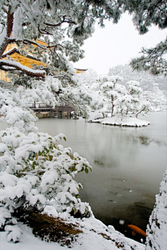 土豆Sue采集到Scenery-Water