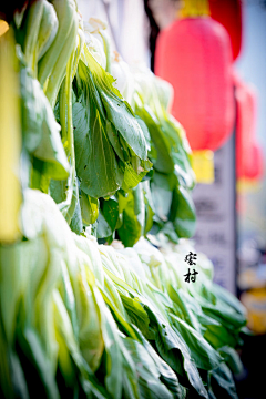 游侠客旅游网采集到一生痴绝处 无梦到徽州