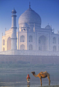 Taj Mahal, Agra, India #美景# #摄影师# #城市#