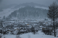 Tigerpp采集到超详细雪谷雪乡哈尔滨