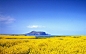 Korea blue skies yellow field wallpaper (#1070903) / Wallbase.cc