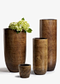 Mango Wood Vases: 