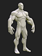 Stylized Hero *Anatomy Blockout