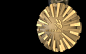 WorldSkills São Paulo 2015 Medal : The Worldskills Competition host country is responsible for creating and producing the medals. For WorldSkills São Paulo 2015, SENAI invited some Graphic Design champions to create the medal.Developing medals for the Wor