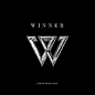 WINNER JAPAN TOUR 2015