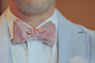 Free stock photo of bow tie, business, businessman