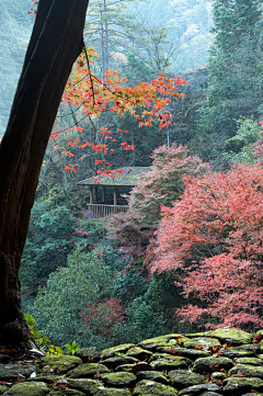 凝雪儿采集到旅行 | 一恋一清晰