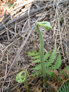 腾讯管理组采集到蔬菜