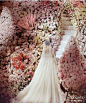 图片素材-#ffffff-DODOWED婚礼策划网