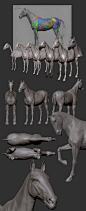 HORSE with Ziva, Mehmet Fatih Usta : Finally I share the horse project I've been worked on for a while. My goal in this project was to improve myself about anatomy, muscle behavior and grooming and to achieve an acceptable result. I was responsible for al