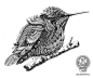 Hummingbird (work in progress) by BioWorkZ.deviantart.com on @deviantART: 