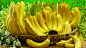 水果之王香蕉高清壁纸桌面壁纸3