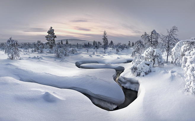 Photograph Lapland -...