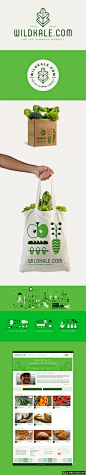 VI品牌设计 蔬菜品牌设计 创意蔬菜logo设计 白菜logo设计 高档白菜包装设计 帆布袋 购物袋 网页 #logo# #标志设计# #logo设计# #VI设计# #品牌设计# #字体设计# #商标设计# 