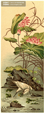 世界古典传统纹饰高清图片-荷花仙鹤