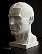 Anatomy Next store - MALE SKIN / TOPOGRAPHY HEAD 3D PRINT model