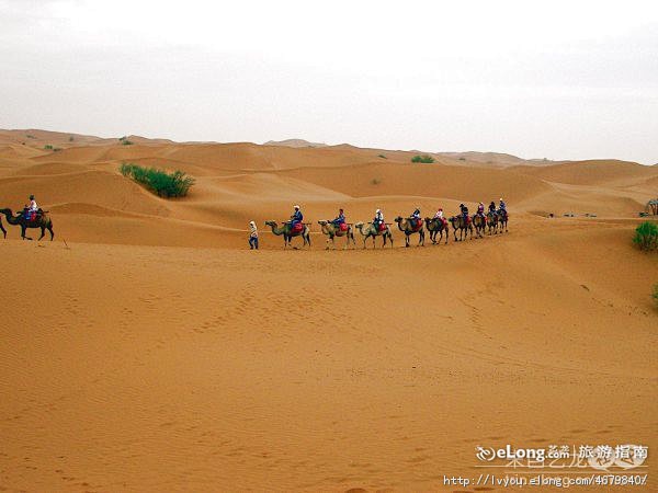 旅游:西行记—宁夏沙坡头, 寒戟鸣月旅游...