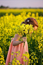 Country Living ~ child in fields of flowers: 