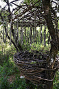 A Year in a French Forest. 2011-2012 Forest Sculptor Spencer Byles.