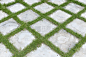 高角度视角的方形网格混凝土石材或大理石瓷砖人行道地面与绿草，用于背景和纹理。