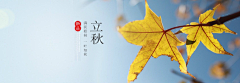 WEI——采集到banner